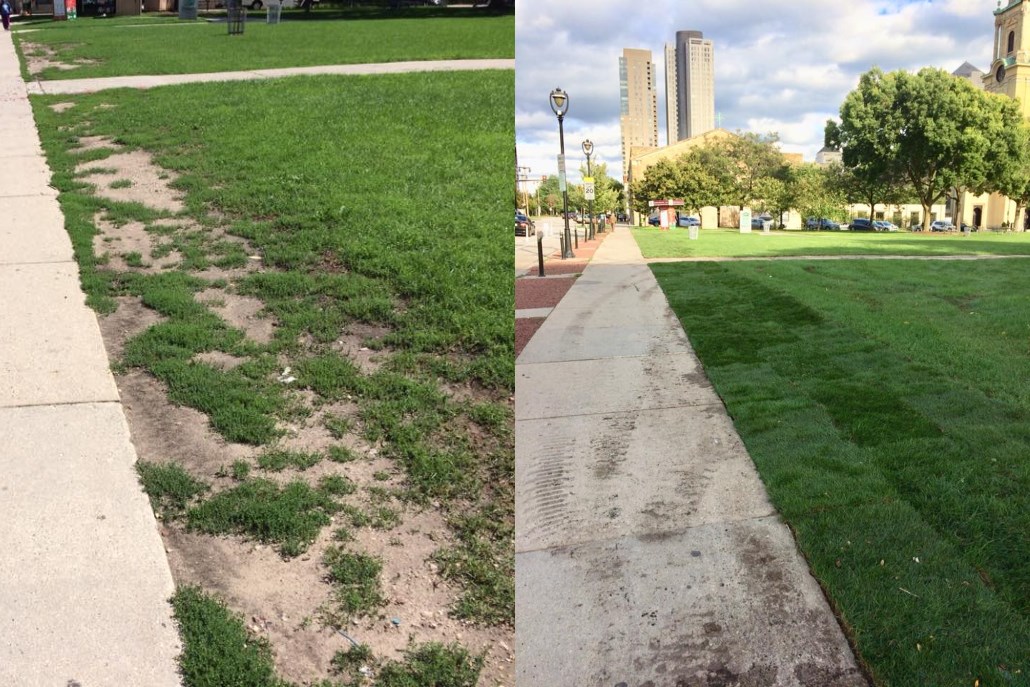 A before and after photo of the sod installation in Cathedral Square.