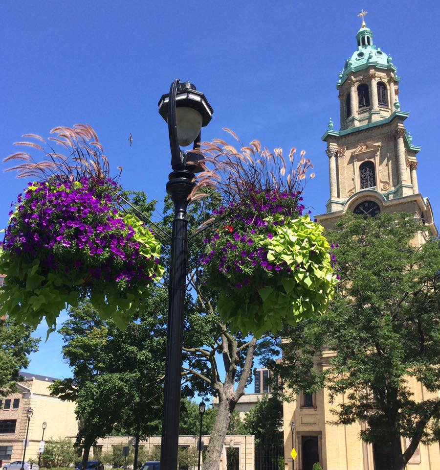 Hanging flower baskets in 2021. Photo by Greg Patin.